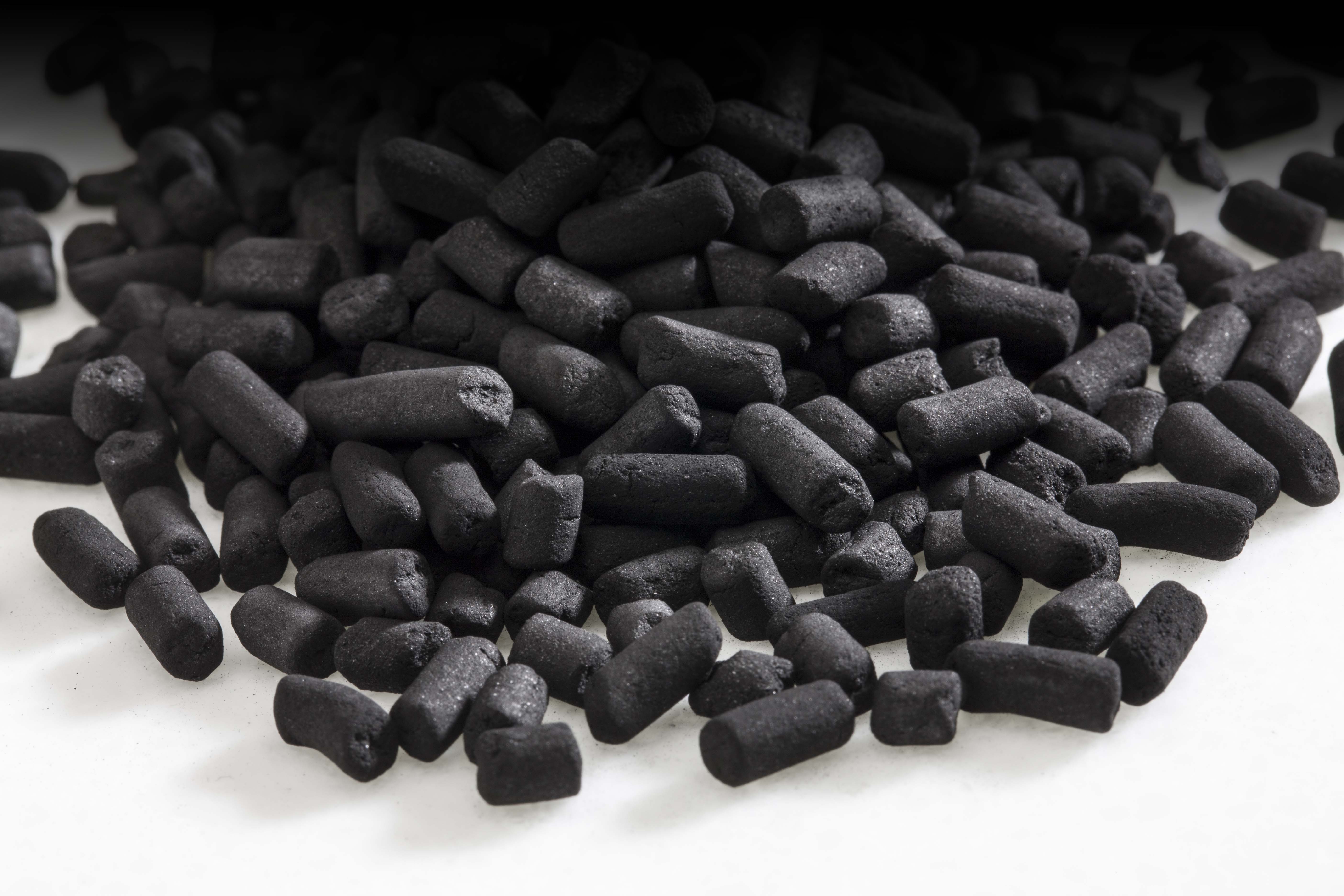 Norit Activated Carbon celebrated receiving ISO 22000 Food Safety